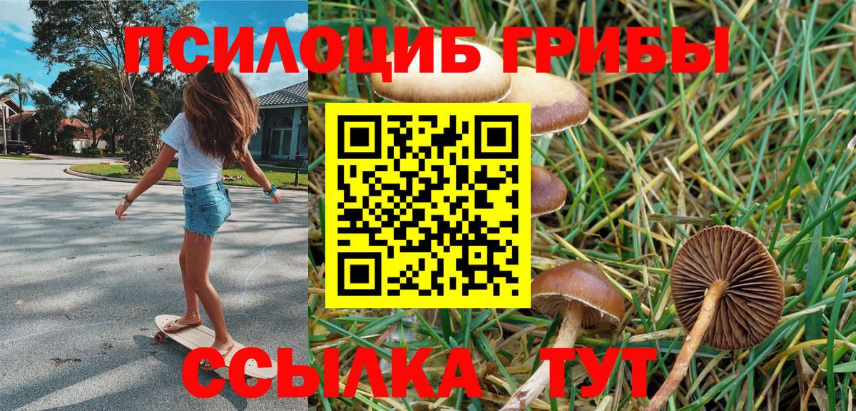 хочу наркоту  Вход с VPN  Балабаново  Псилоцибиновые грибы мухоморы  Галлюциногенные грибы мухоморы 