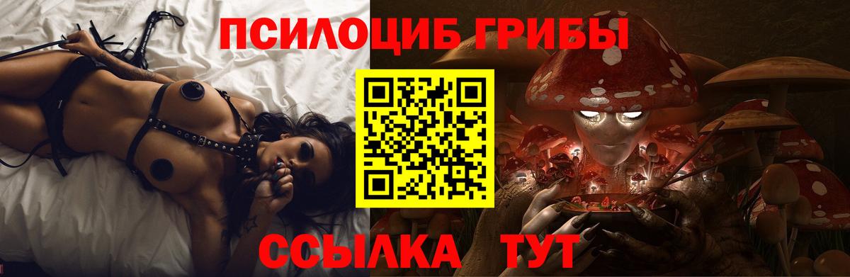 Галлюциногенные грибы прущие грибы Балабаново